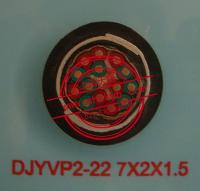 DJYVP2-22 7*2*1.5鎧裝屏蔽計算機電纜