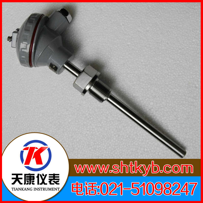 裝配式熱電偶WRF2-230